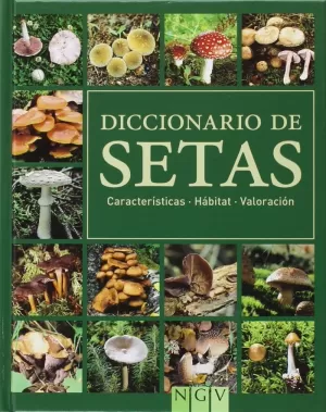 DICCIONARIO SETAS