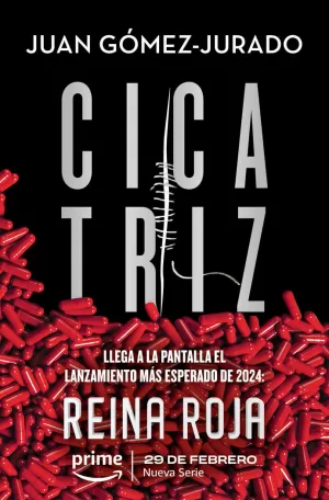 Reseña Cicatriz de Juan Gómez-Jurado. Libros por doquier