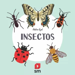 INSECTOS