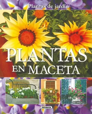 PLANTAS EN MACETA